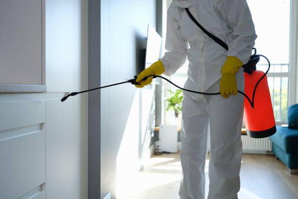 Best Mold Testing and Inspection Services in Forest Lake, MN
